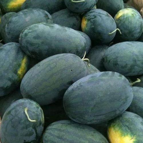 NGA娱乐吃瓜区,揭秘娱乐圈幕后故事，带你领略明星们的真实生活